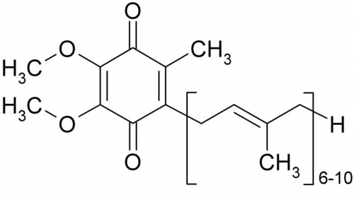 co-enzyme Q10.jpg